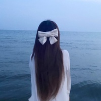 禁区探访者